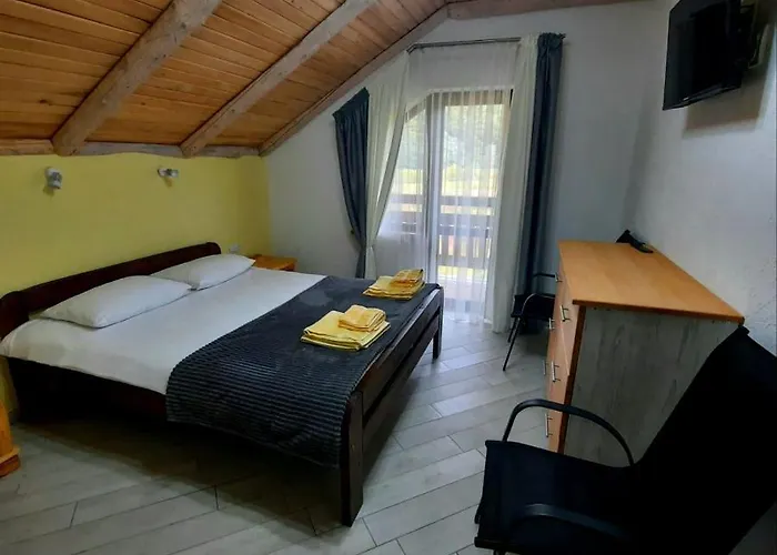 Vovna Apartment Tatariv